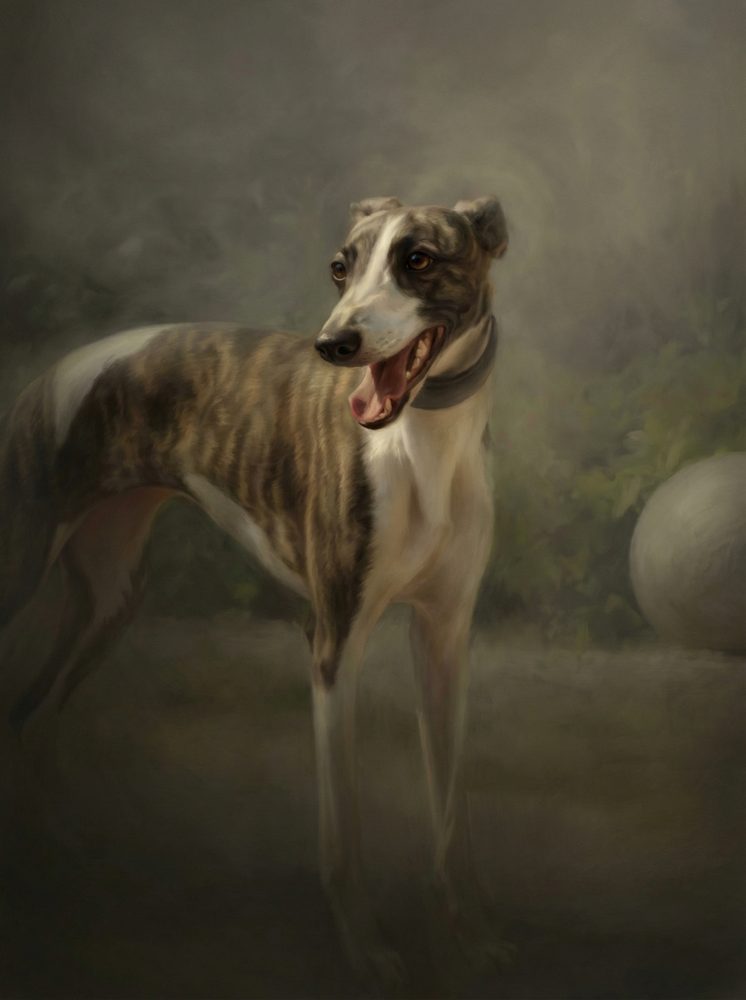 Das perfekte Foto für dein Tierportrait — 5 Tipps